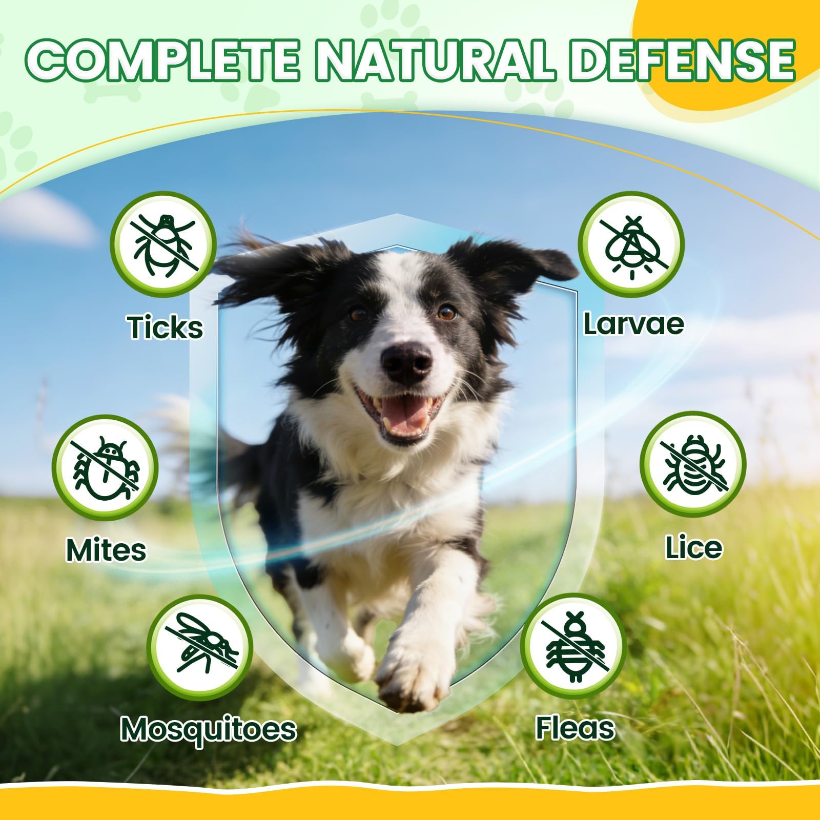 Wagmee chews natural ingredients promote overall wellness in dogs