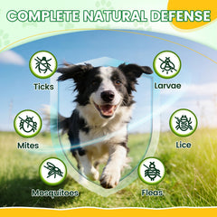 Wagmee chews natural ingredients promote overall wellness in dogs