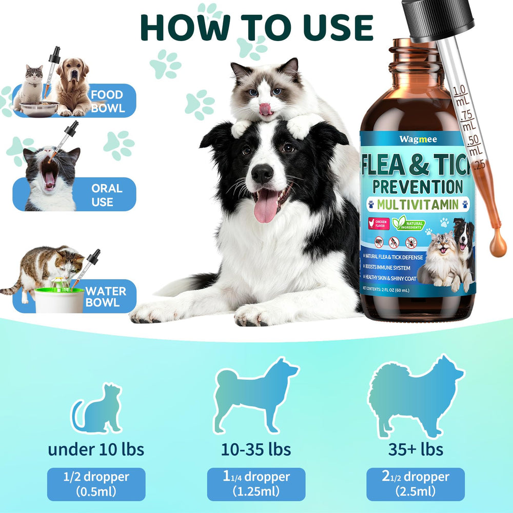 Wagmee omega-3 and apple cider vinegar blend for skin balance
