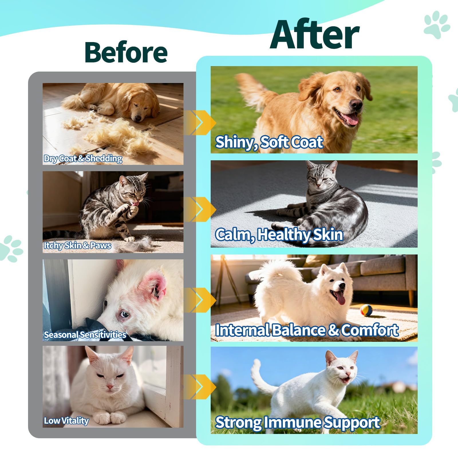Wagmee formula supports healthy skin and coat appearance