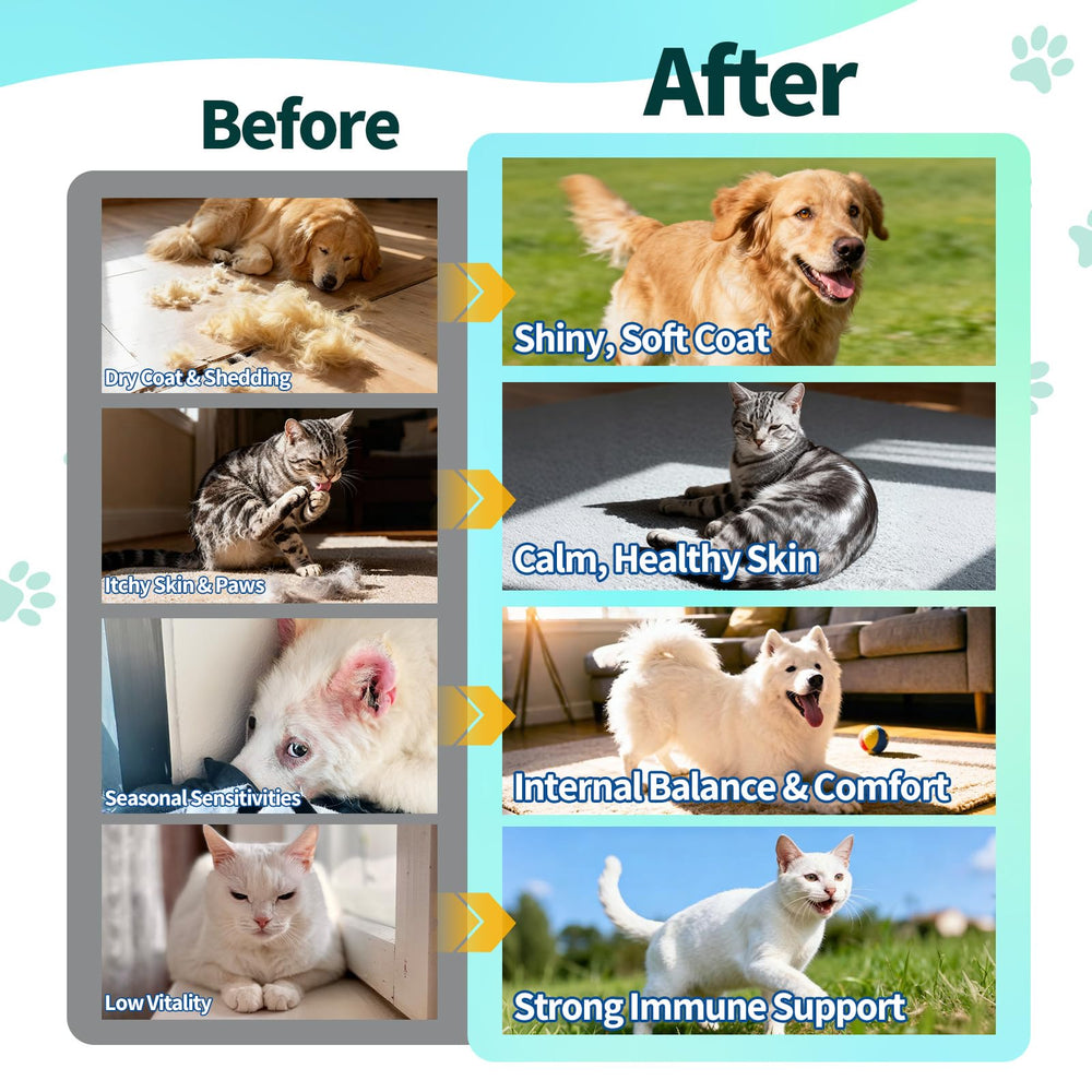 Wagmee formula supports healthy skin and coat appearance