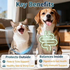 Wagmee packaging shows Vitamin E, Biotin, and Zinc for healthy coat.