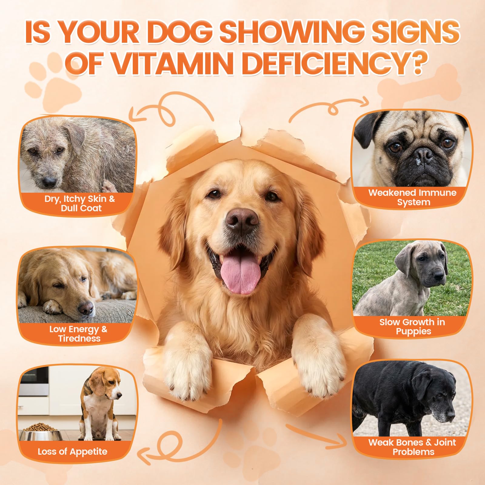 Wagmee zinc biotin formula for skin and coat appearance.