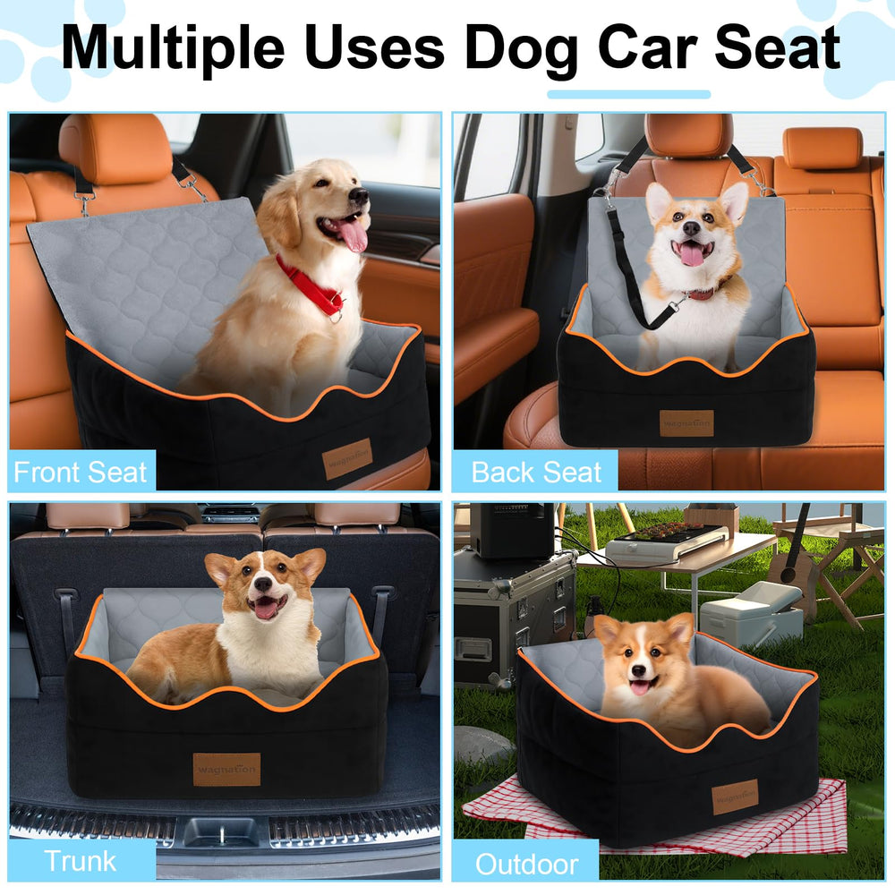 Wagnation storage pocket keeps treats and toys within easy reach.