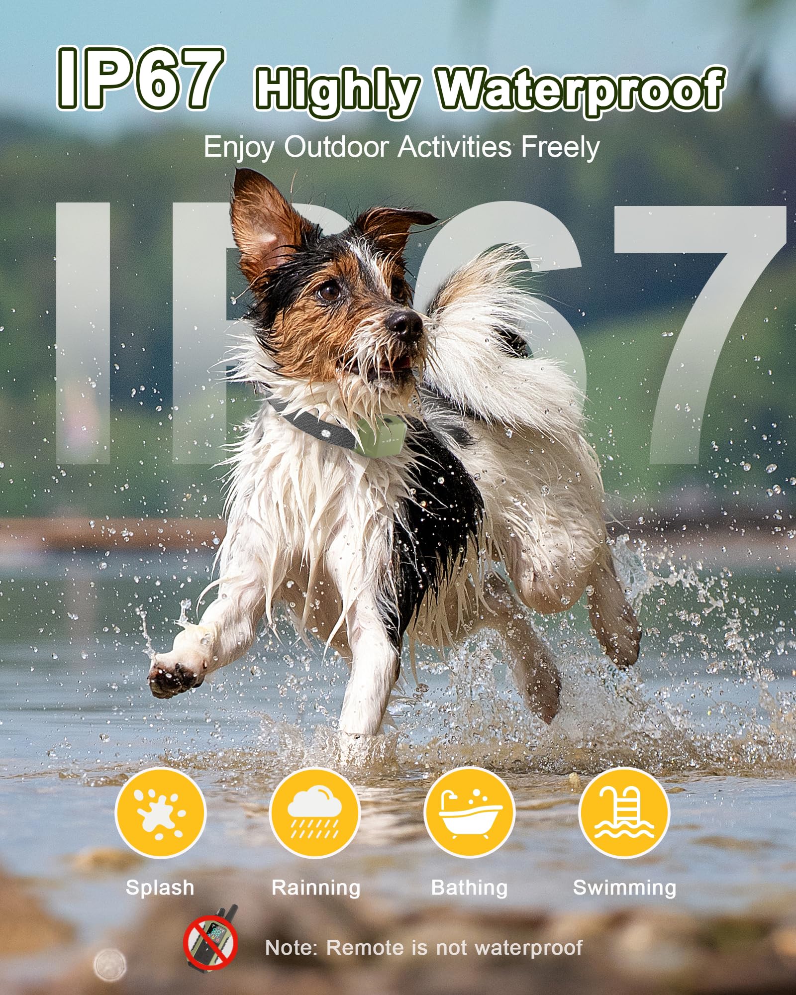 Wagnation two-dogs training setup for coordinated behavior