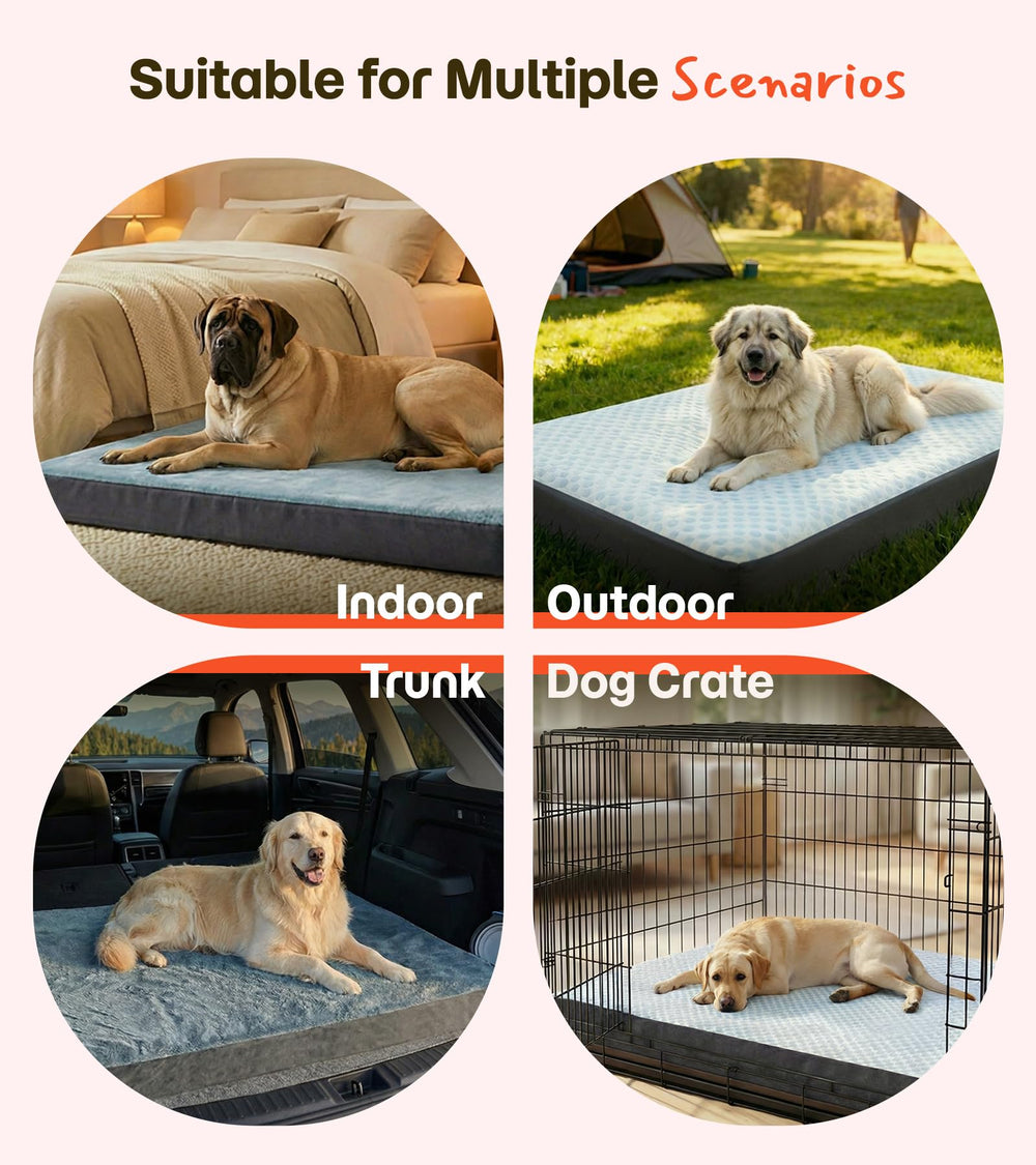 Wagora travel-ready dog bed designed for car trips and trips