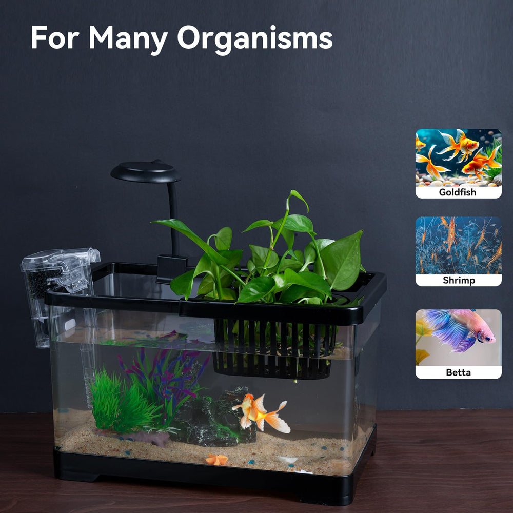 Wagrvuy beginner-friendly kit suits bettas, goldfish, and shrimp.