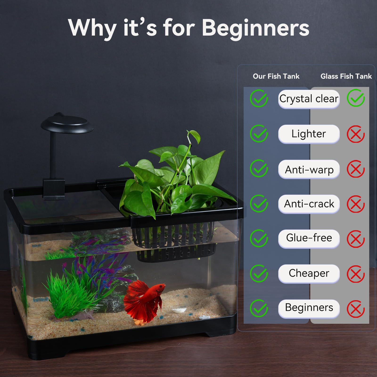 Wagrvuy hydroponic basket decorates while aiding water quality.