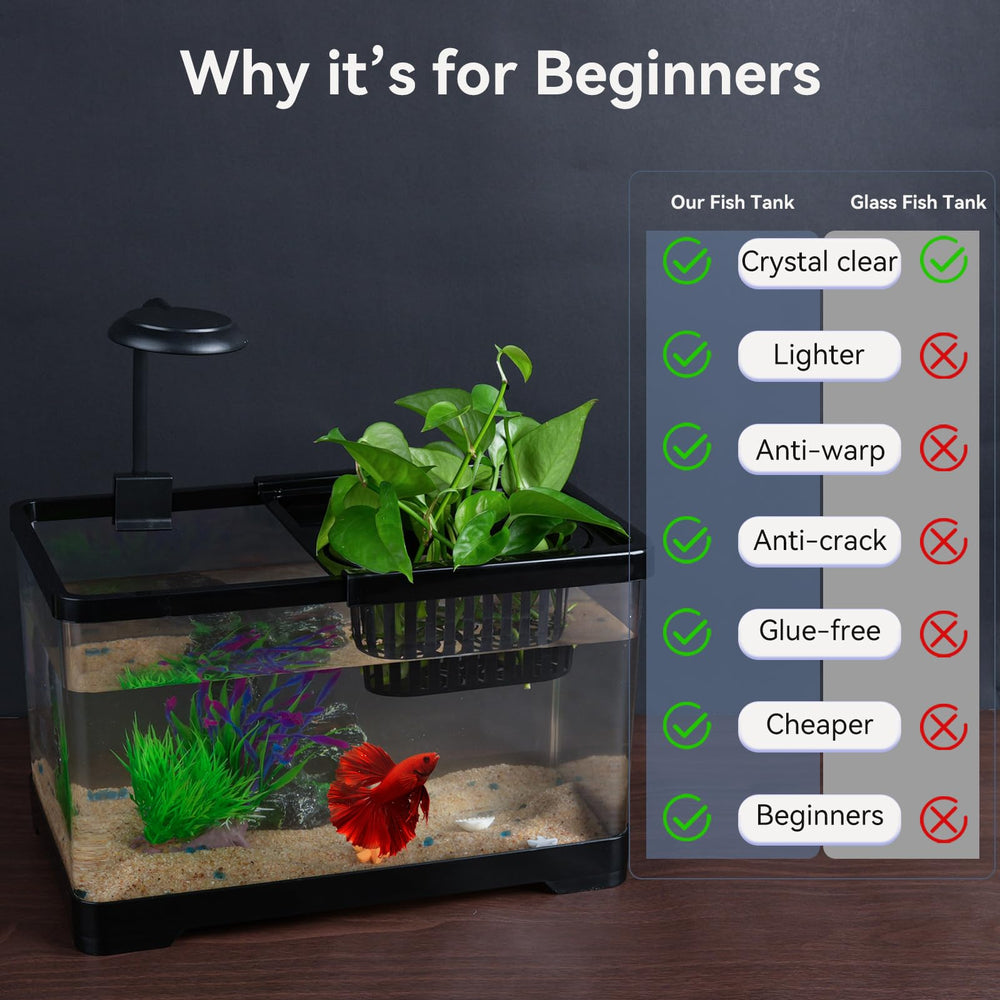 Wagrvuy hydroponic basket decorates while aiding water quality.