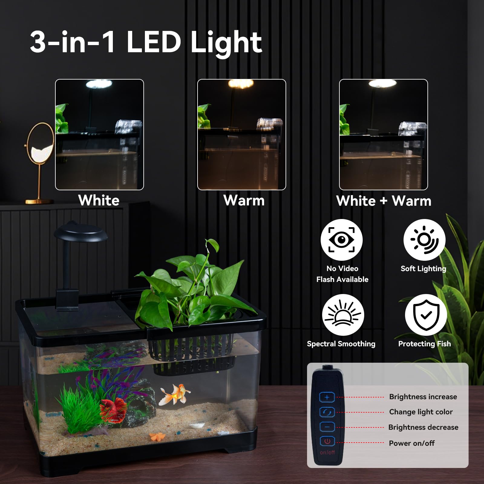 Wagrvuy premium PET plastic provides durable, glass-like clarity.