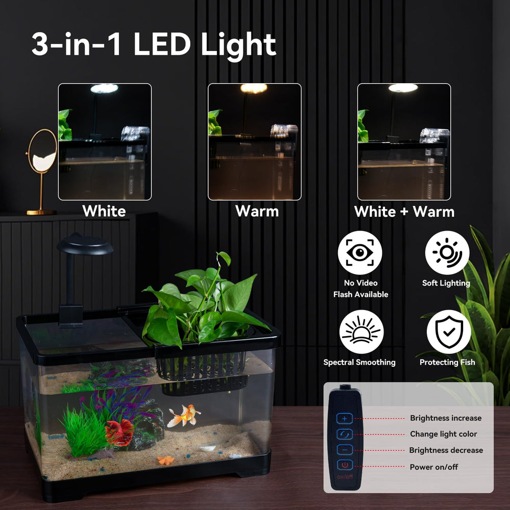 Wagrvuy premium PET plastic provides durable, glass-like clarity.