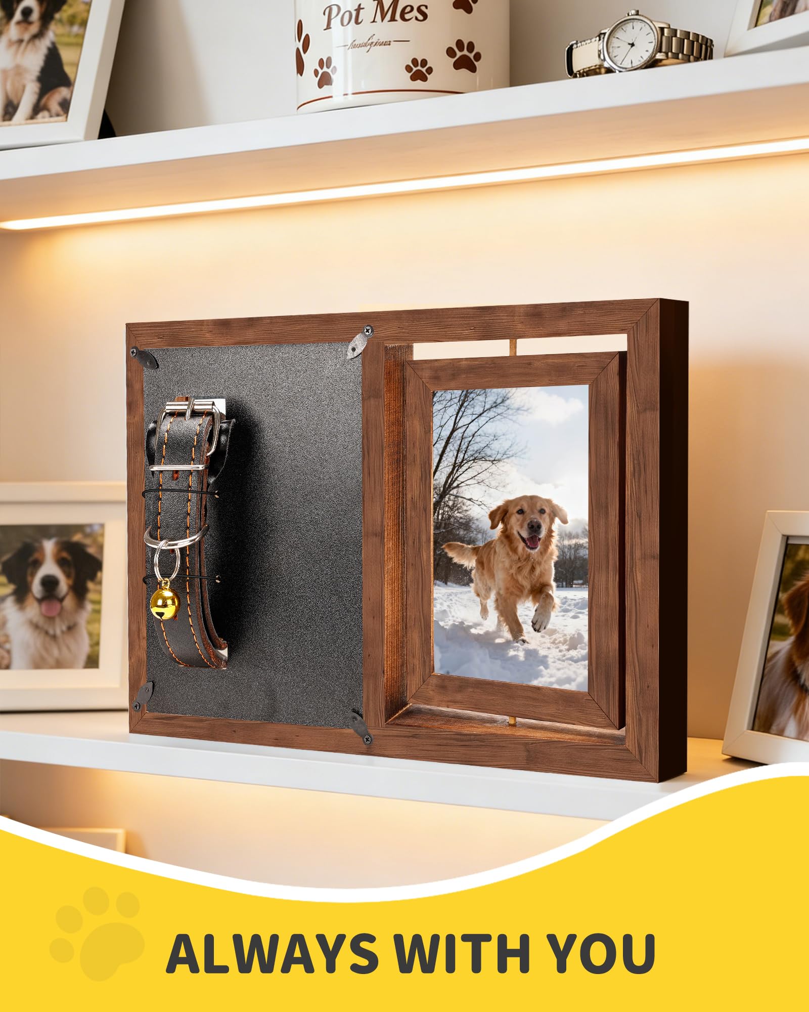 WagvyGo HD acrylic display board keeps photos clear.