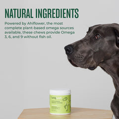 WagWell Ahiflower Omega Chews being offered as a dog treat during meals for easy dosing.