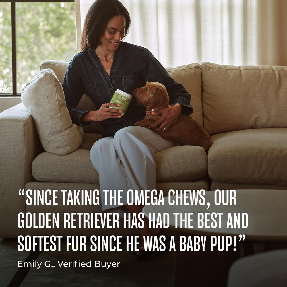 WagWell Ahiflower Omega Chews plant based omega information on the box.