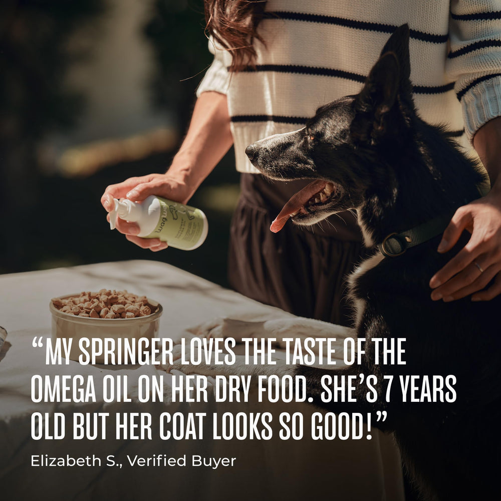 Oil being poured into dog food bowl during mealtime