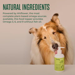 Dog enjoys meal topped with WagWell Ahiflower Omega Oil topper