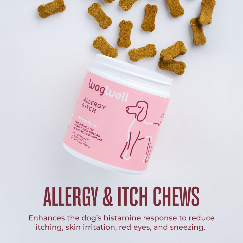 WagWell Allergy and Itch Chews close-up showing soft texture and tasty chicken flavor.