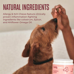 WagWell dog enjoying a chew during daily wellness routine.