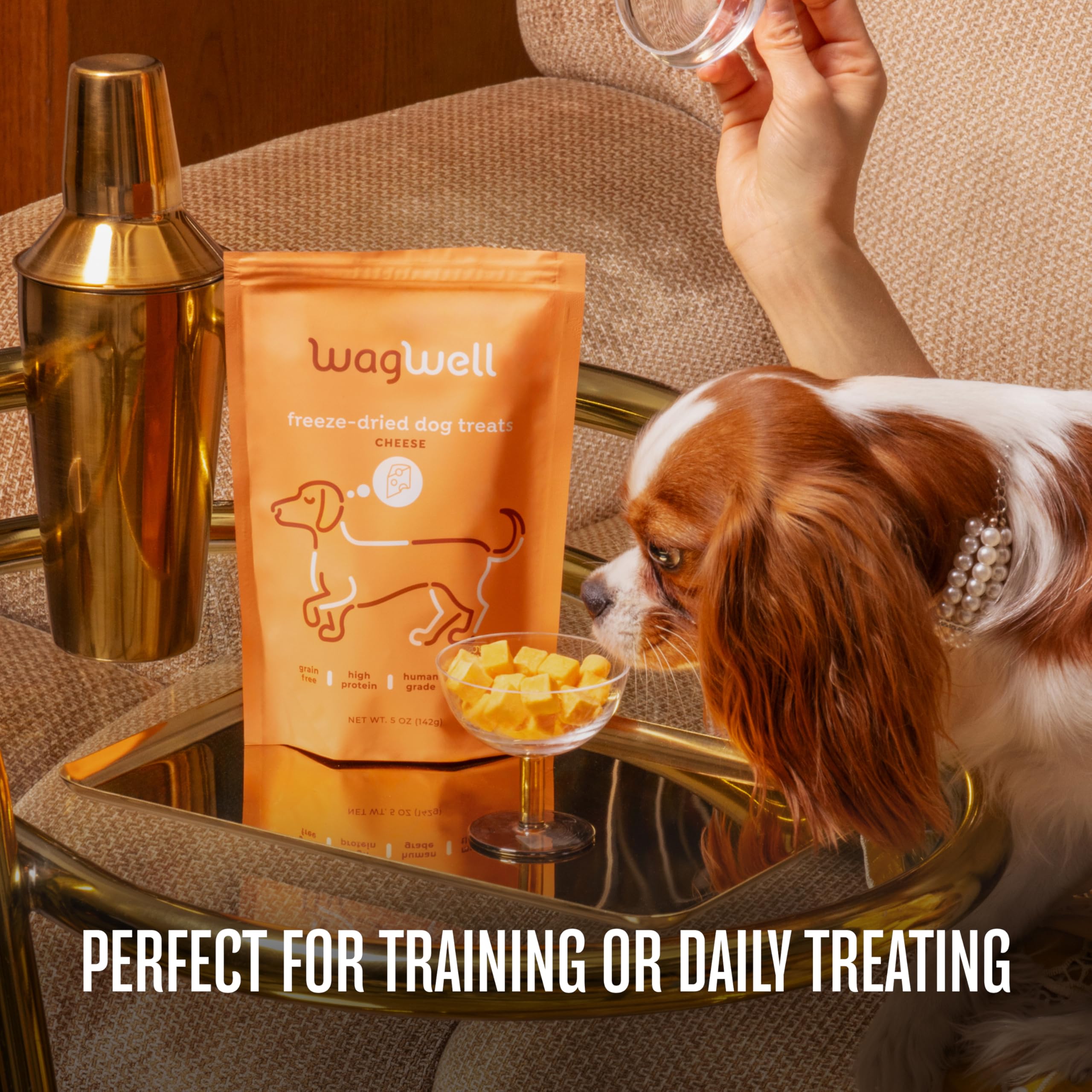 WagWell label highlights ingredients and clear labeling for trust.