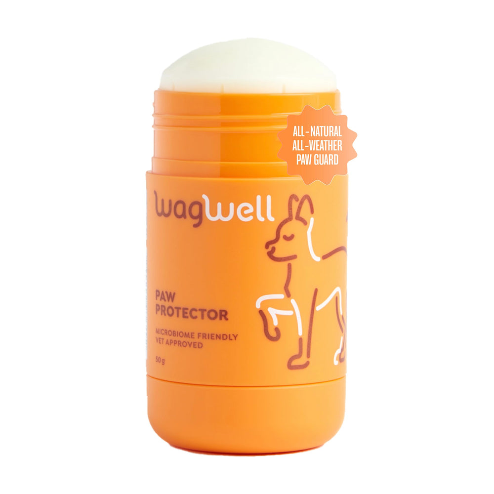 WagWell Paw Protector twist-up stick application for easy, mess-free paw care before walks.