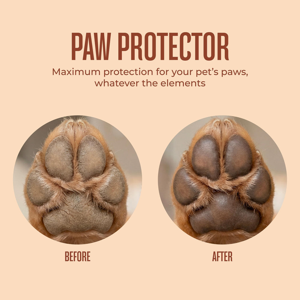 WagWell Paw Protector provides barrier protection on hot sidewalks and icy paths.