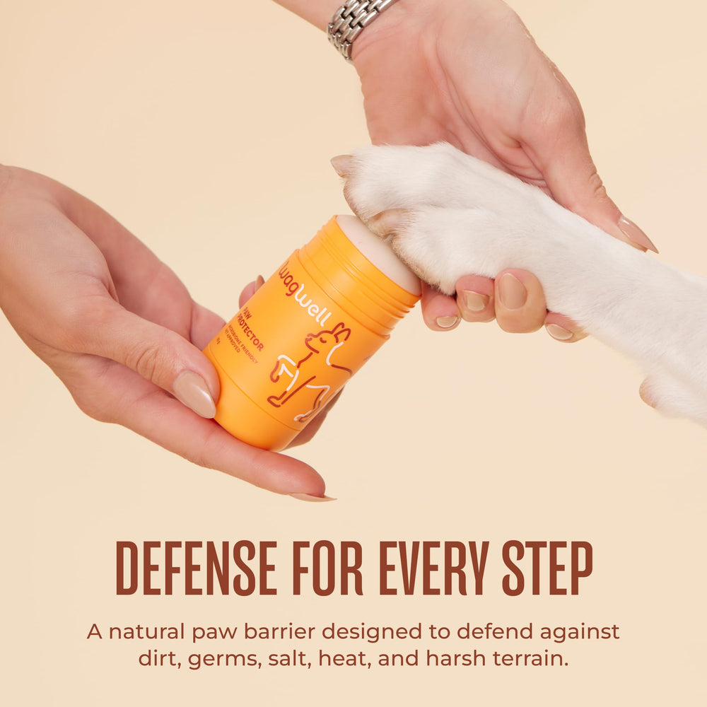 WagWell Paw Protector supports year-round paw comfort in heat, cold, and salt.