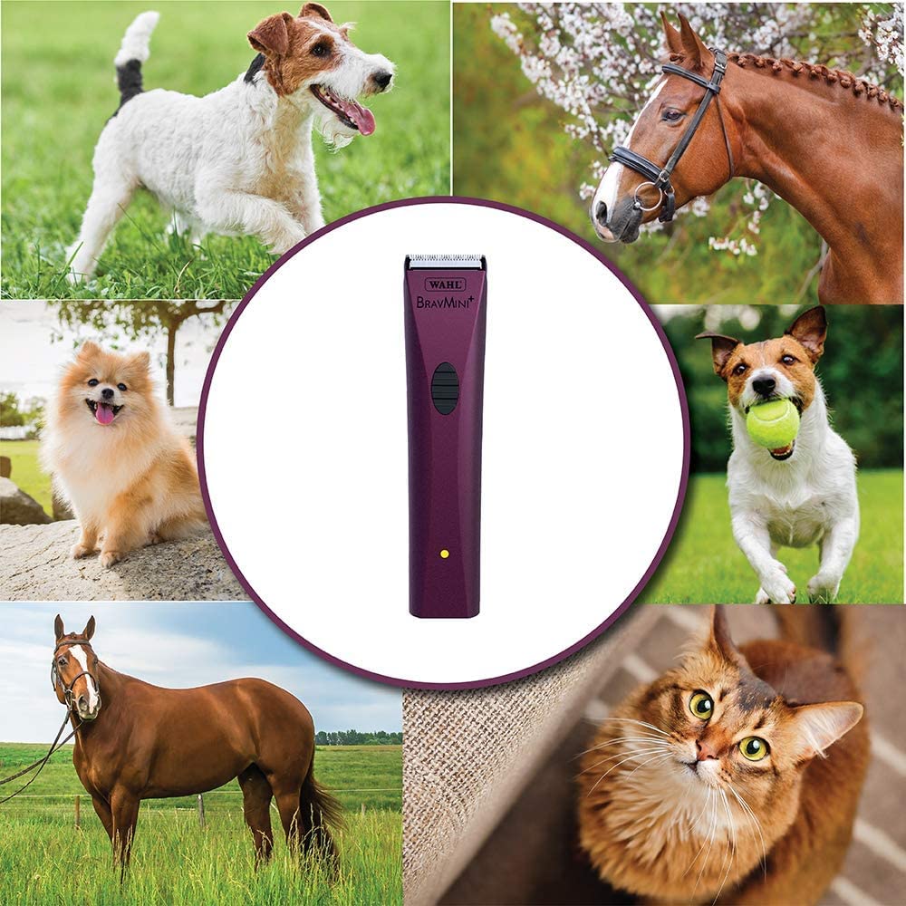 Wahl BravMini+ kit includes blade oil and cleaning brush.