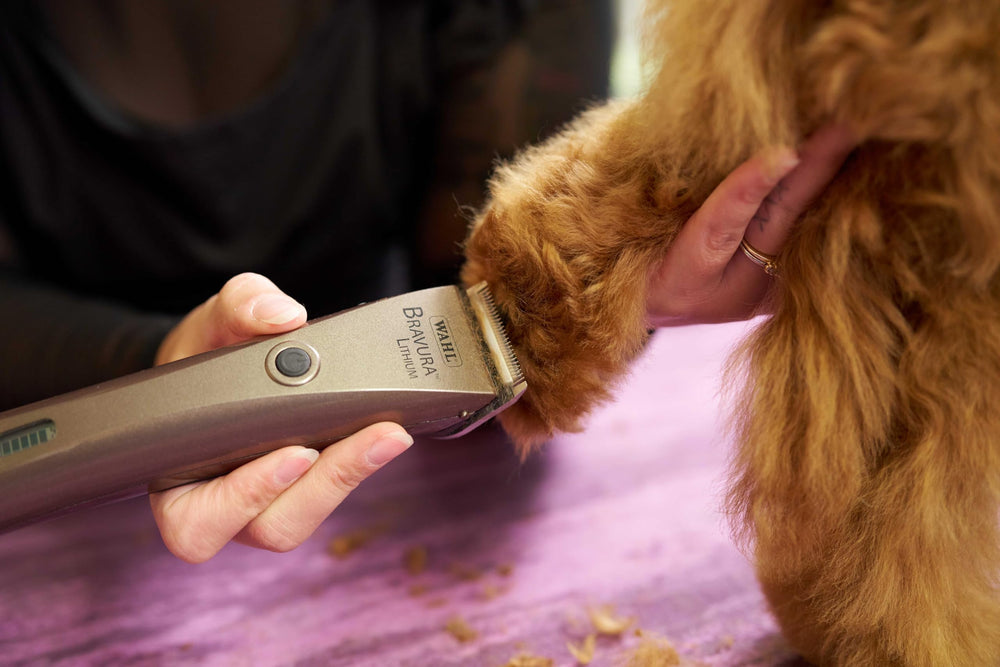 Wahl Bravura soft storage case keeps clips and blades protected