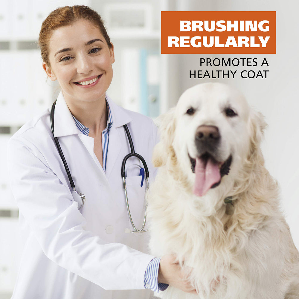 Wahl tool helps dogs and cats look and feel better after brushing