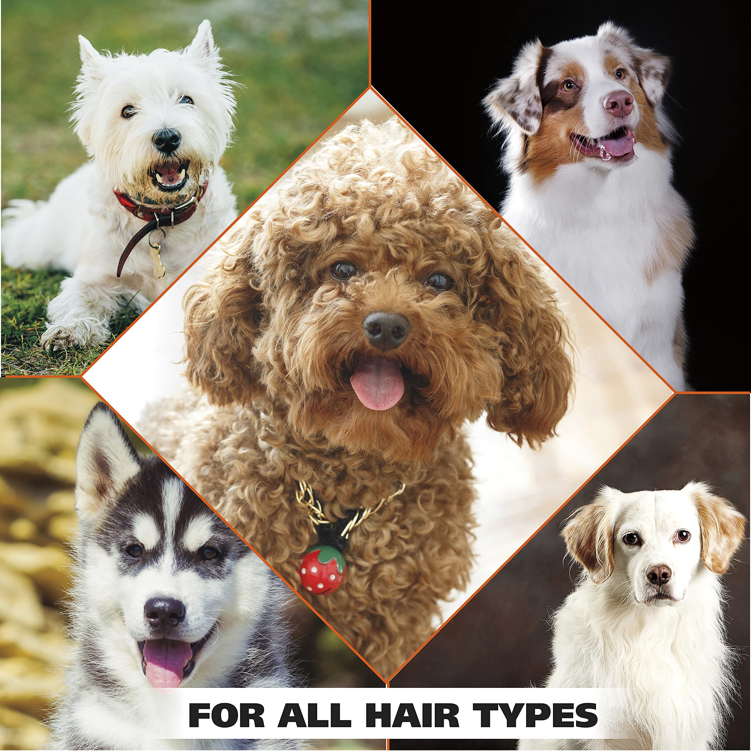 Made-in-USA label on Wahl dog shampoo bottle.