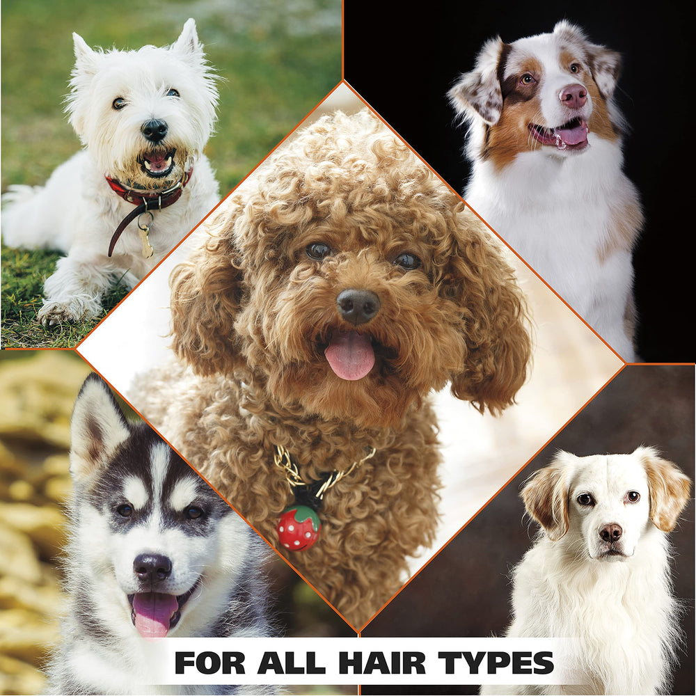 Made-in-USA label on Wahl dog shampoo bottle.