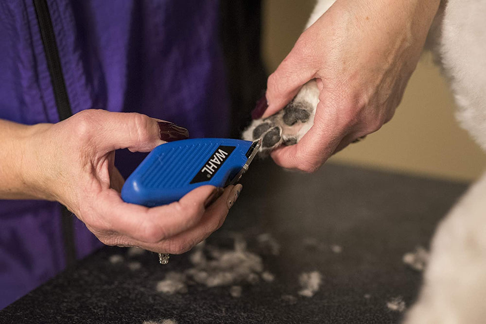 Wahl Pocket Pro Equine blue battery-powered operation for cordless use.