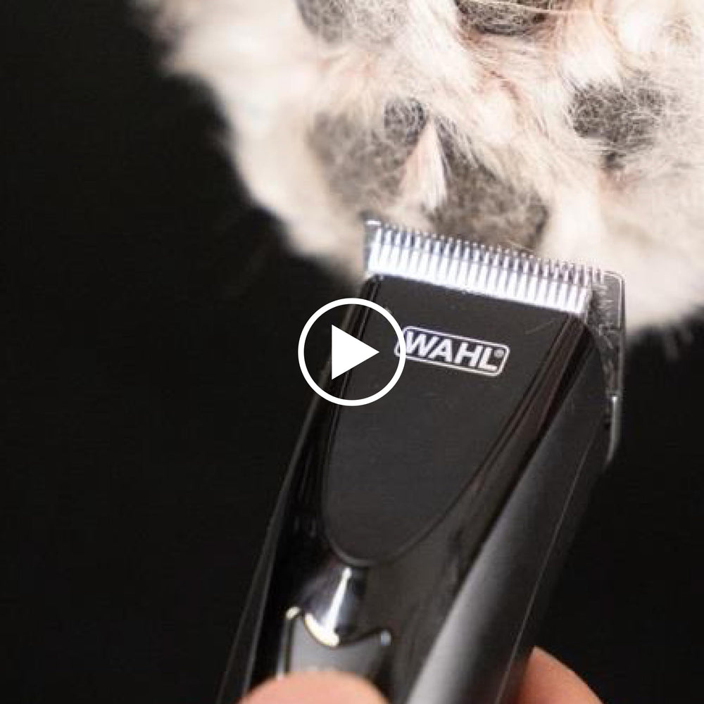 Fidela Trimmer with three guide combs for adjustable lengths