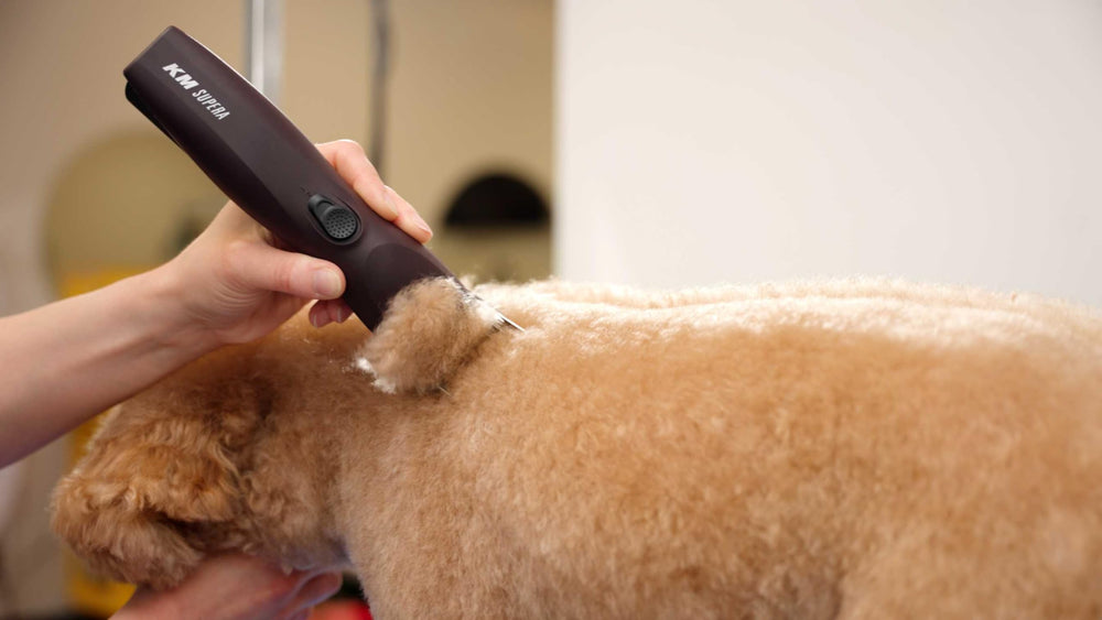 Wahl Pro Animal KM Supera easy blade changes with LOCKGUARD.