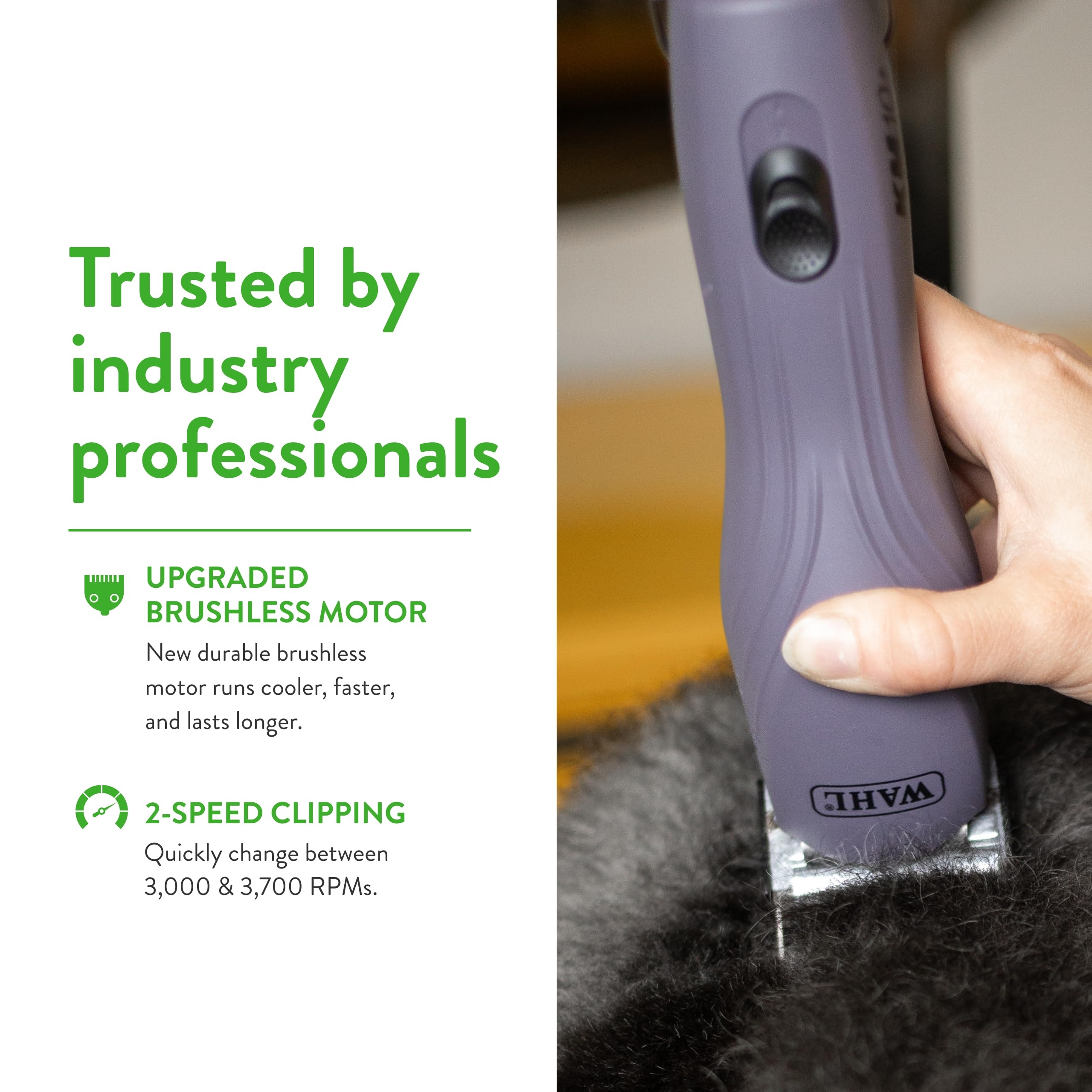 Dog grooming session using KM10+ clipper for smooth, controlled trimming.