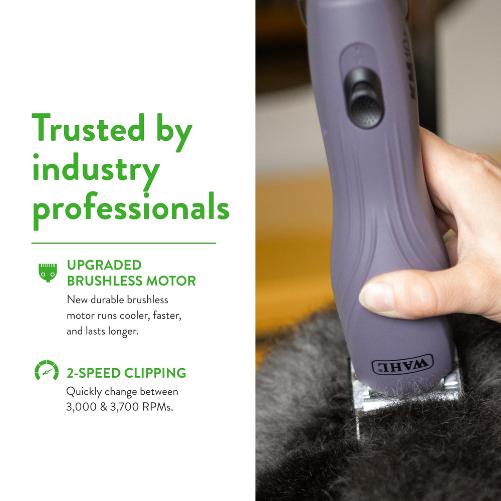 Dog grooming session using KM10+ clipper for smooth, controlled trimming.