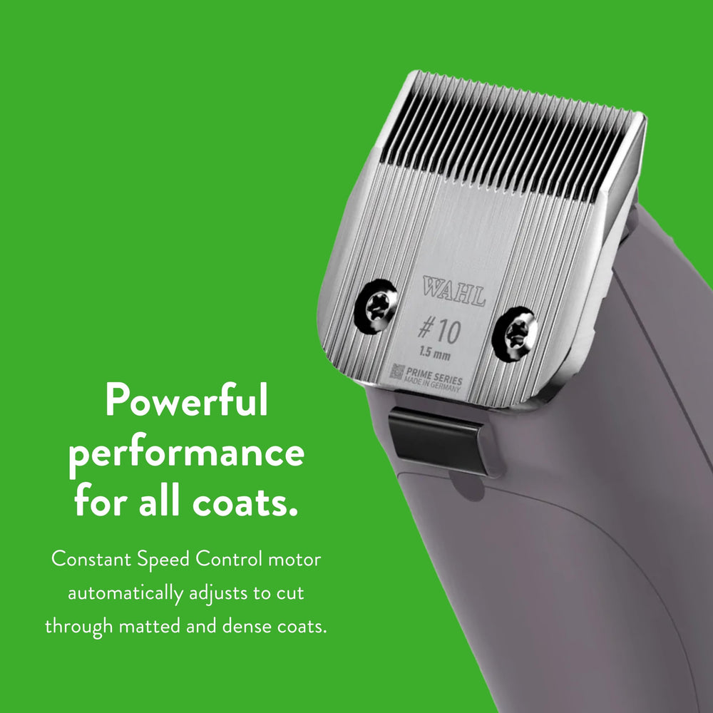 Groomer holds KM10+ with textured housing during cat grooming session.