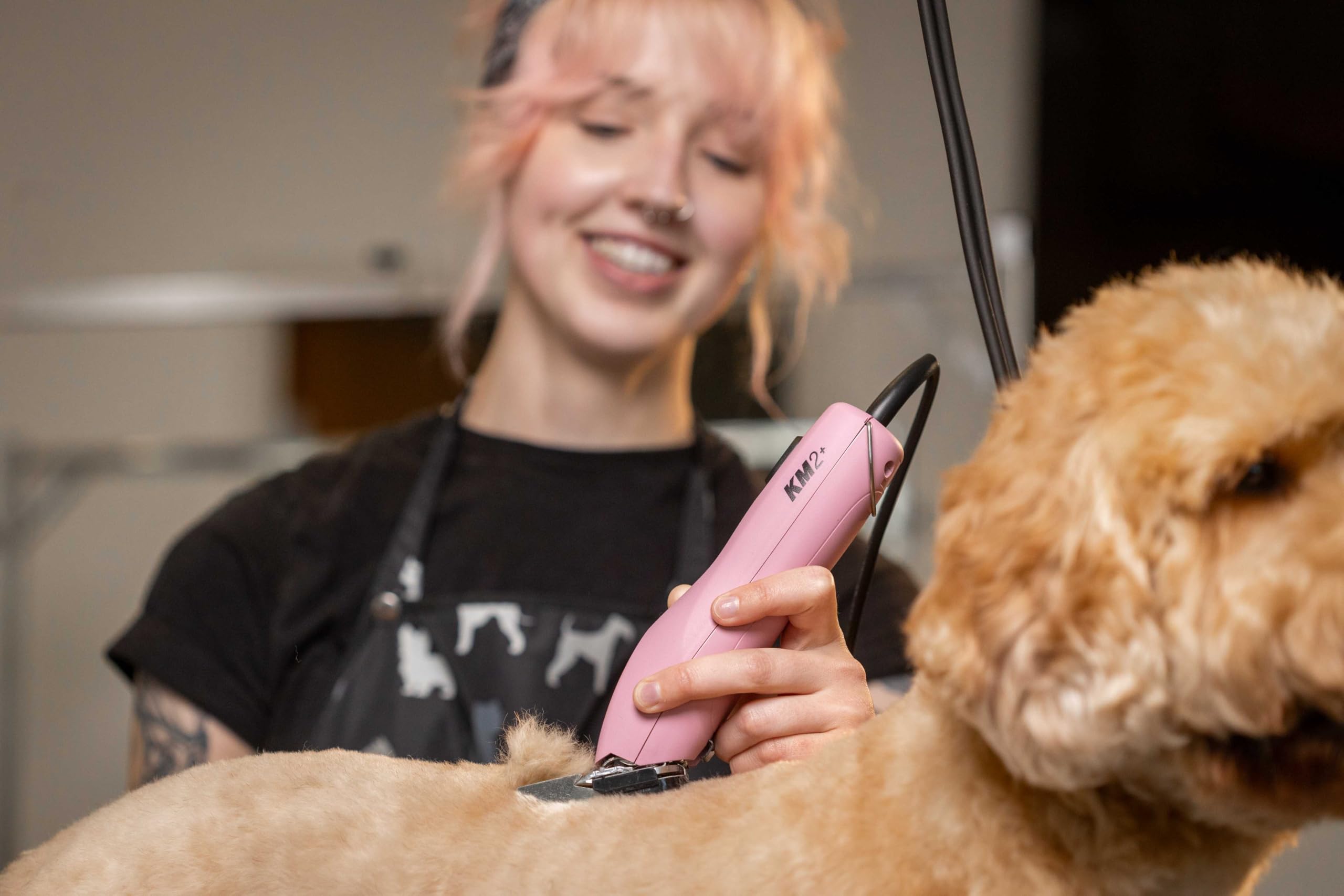 Cat grooming setup with Wahl KM2+ pink clipper for quiet operation