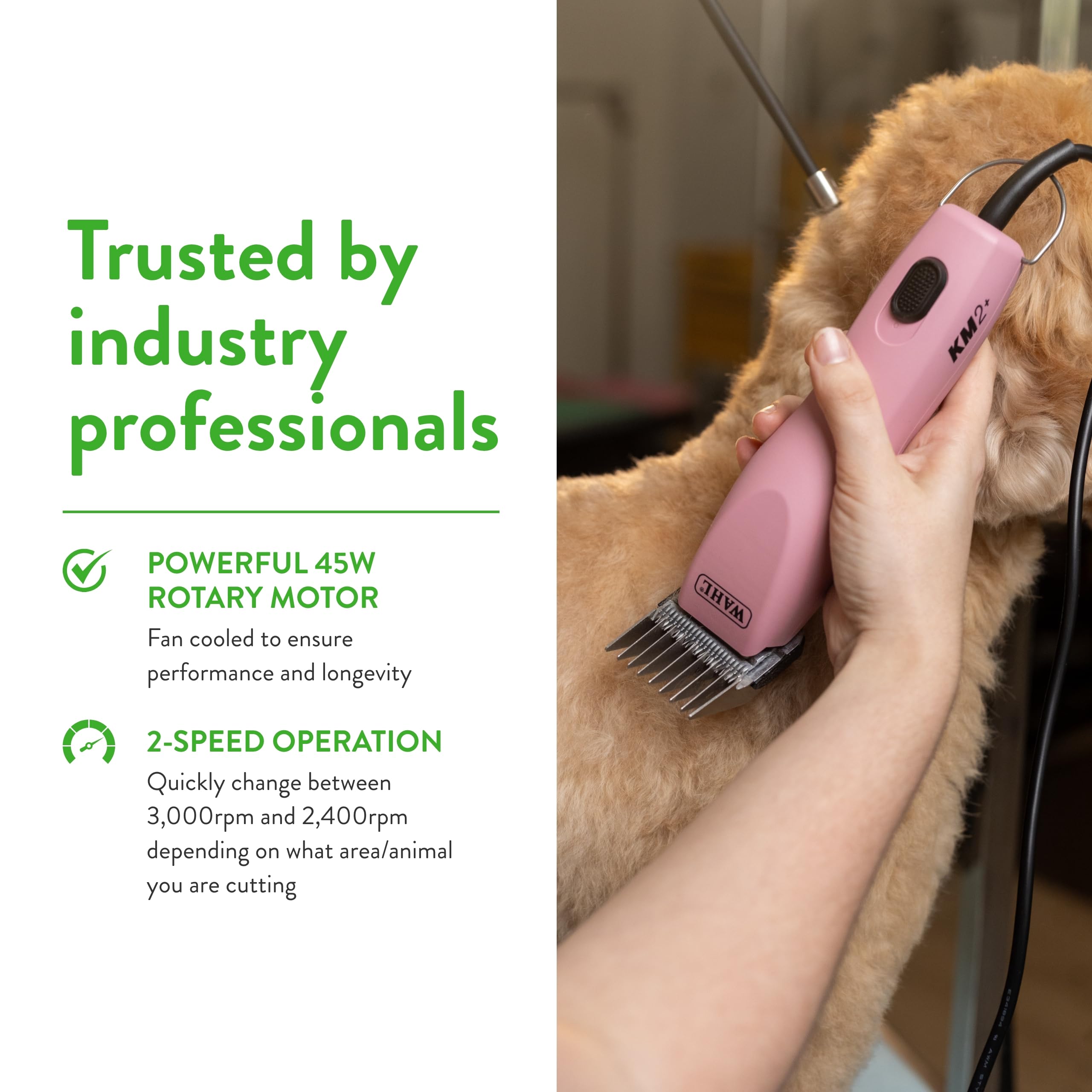 Dog grooming scene using Wahl KM2+ pink clipper for calm clipping