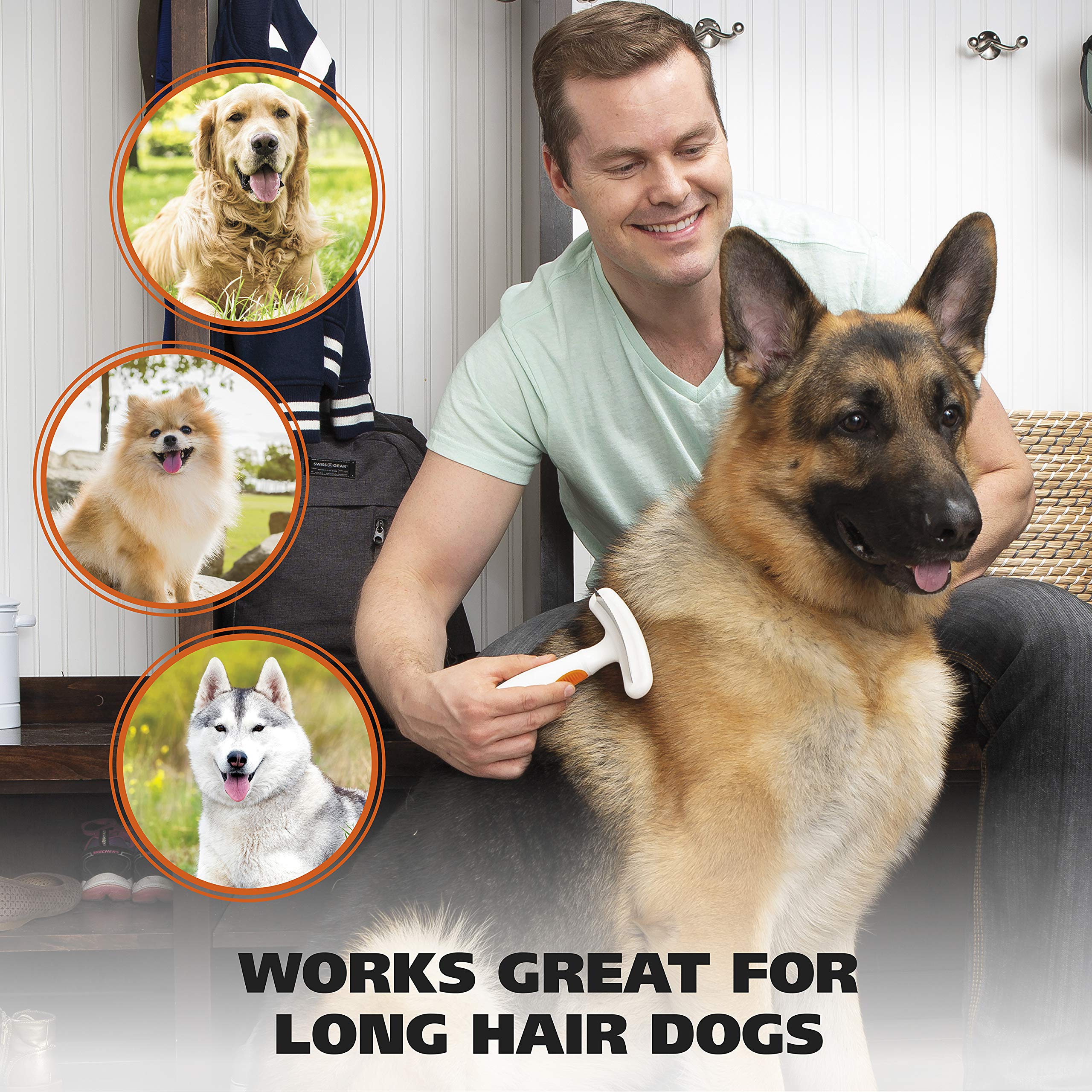 Wahl trusted brand celebrated by professionals for grooming tools