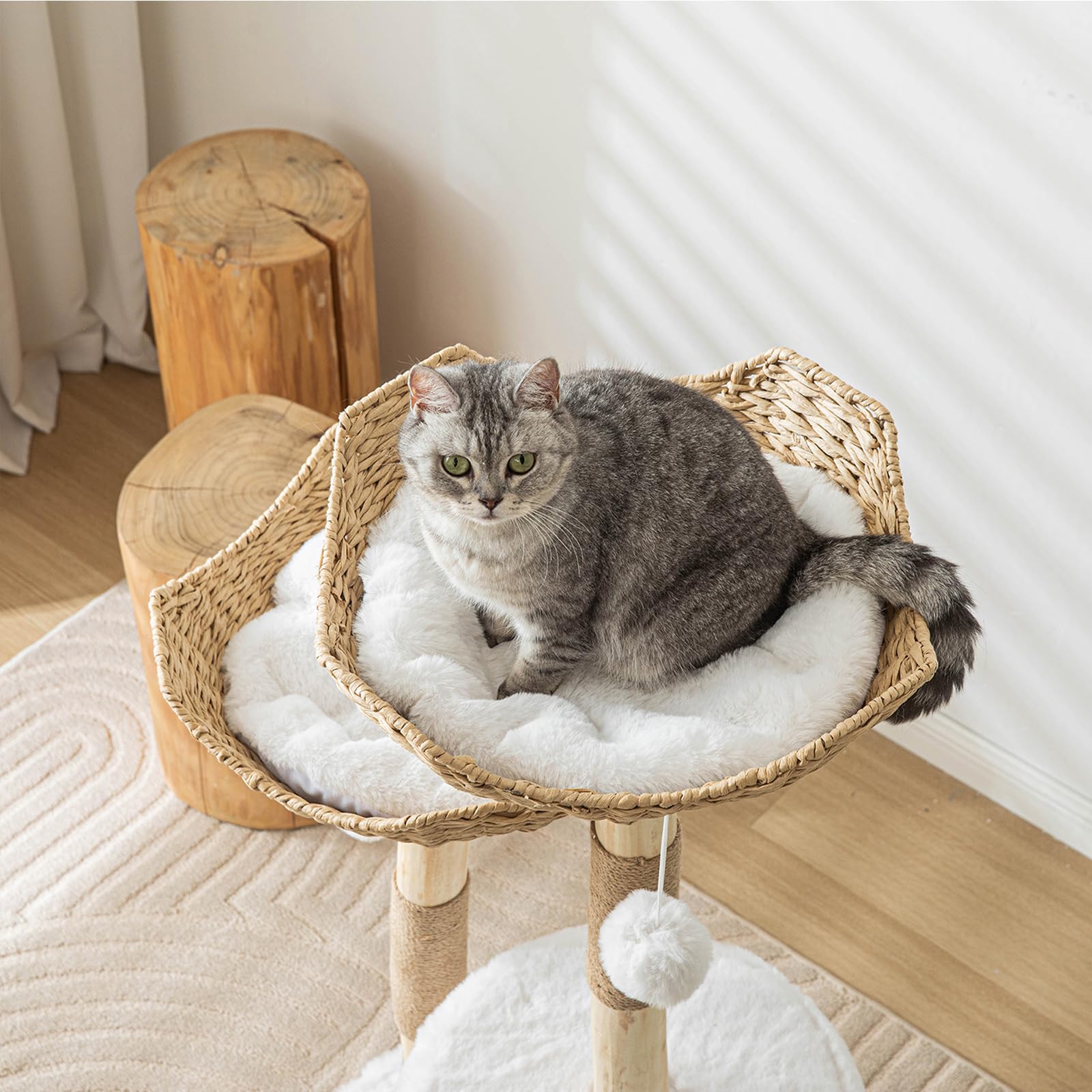 WAIDOBE easy assembly for the wooden cat tree in minutes