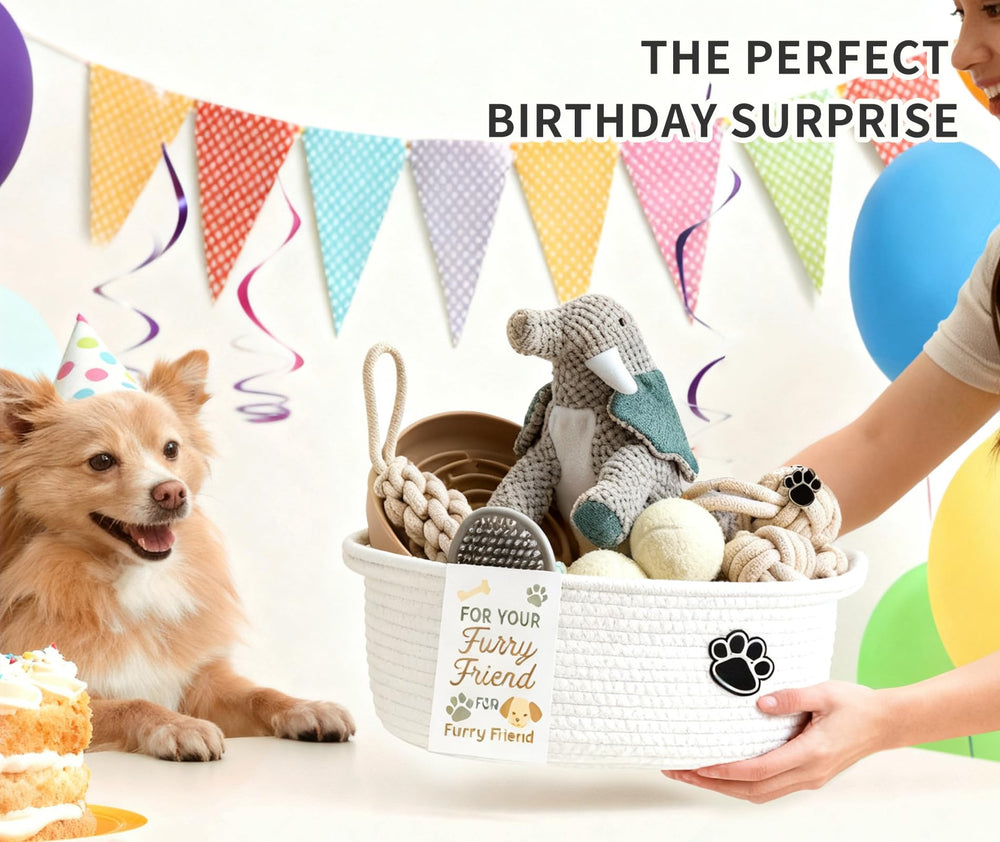 Wanapure puppy toy pack with bouncy balls for interactive fetch