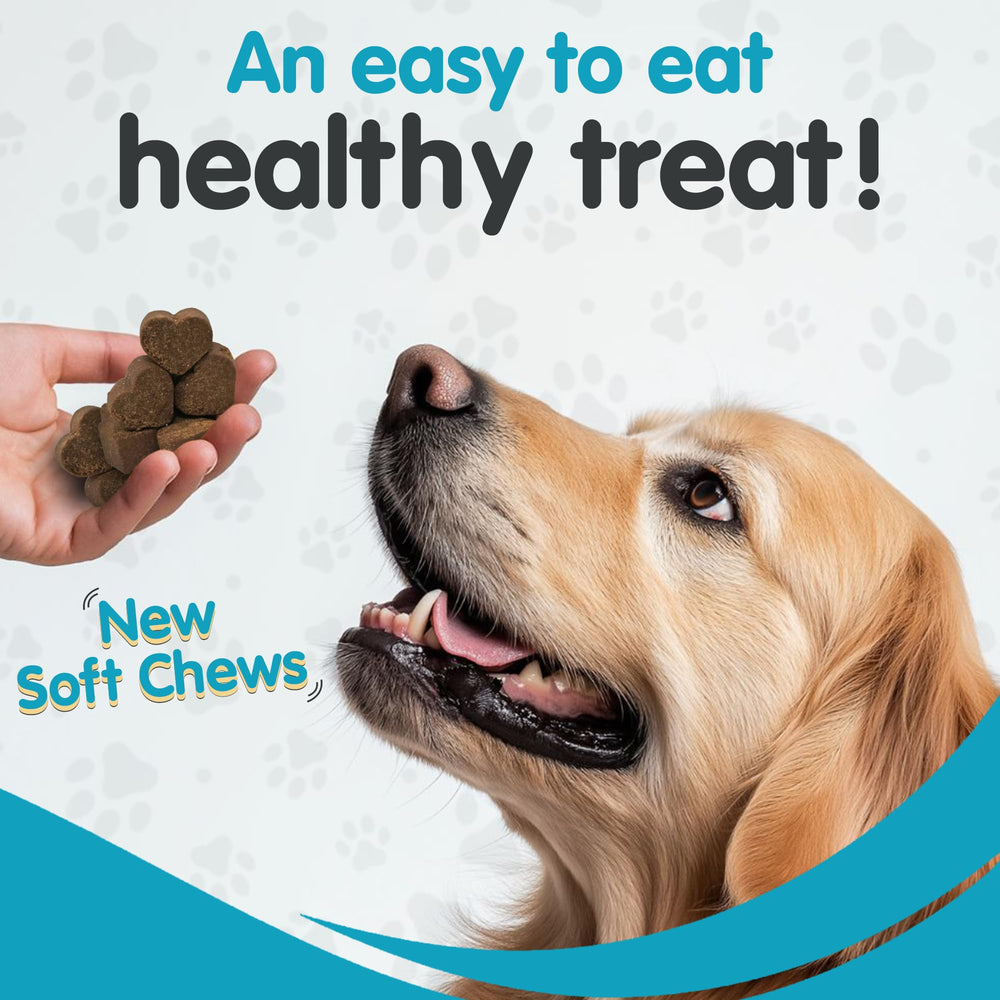 Wanderfound Milk Thistle soft chews in a bowl suggest easy daily use