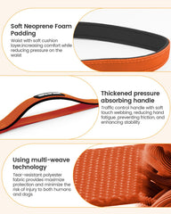 WANFIRE leash car-seatbelt connection enhances in-car safety during rides.