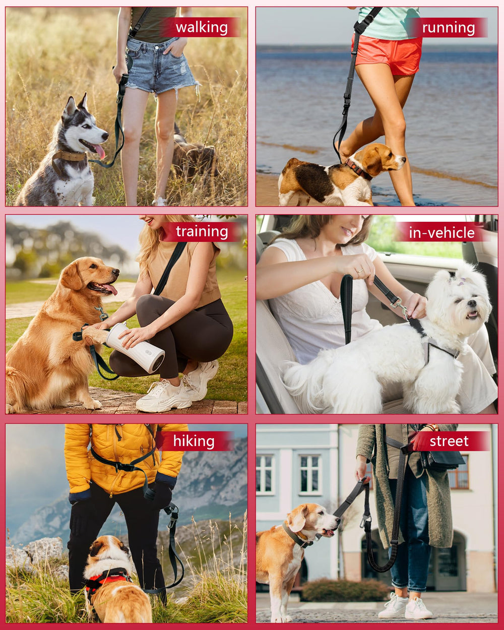 WANFIRE leash with reflective stitches for better night visibility.