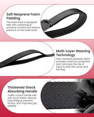 WANFIRE hands-free leash in handheld mode for precise training