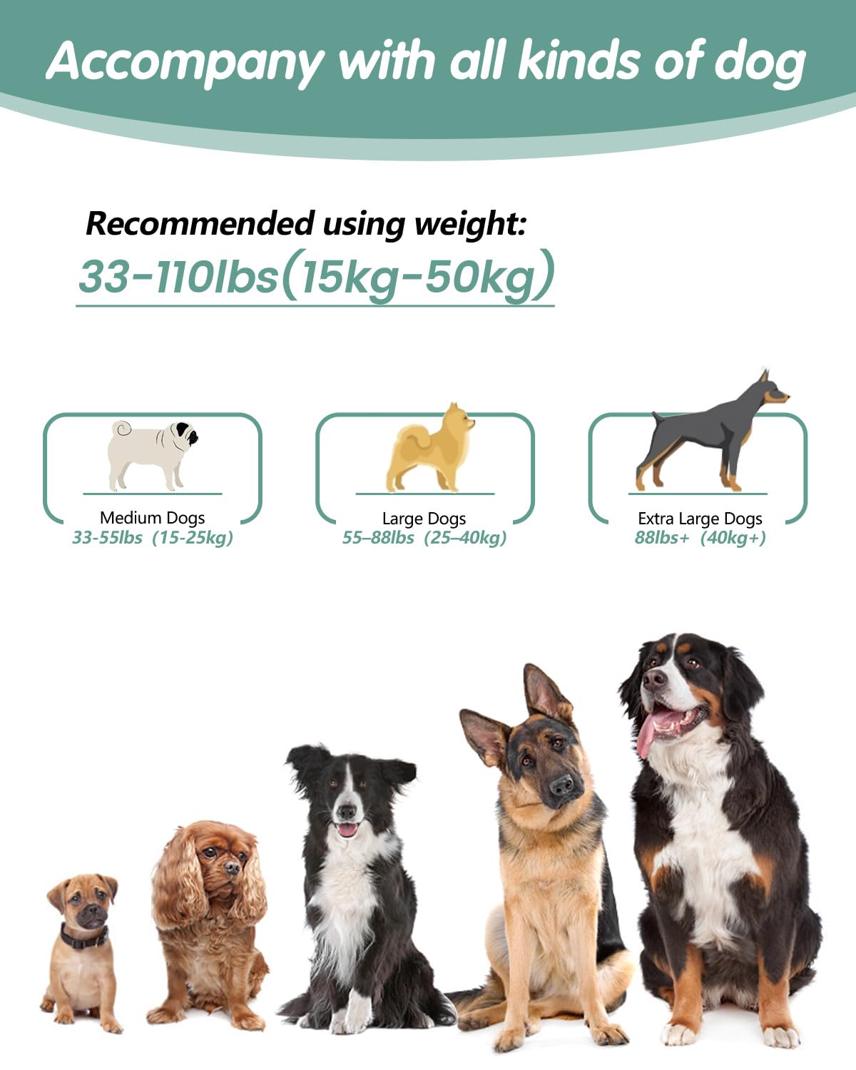 WANFIRE hands-free leash night-walk safety for early morning strolls.