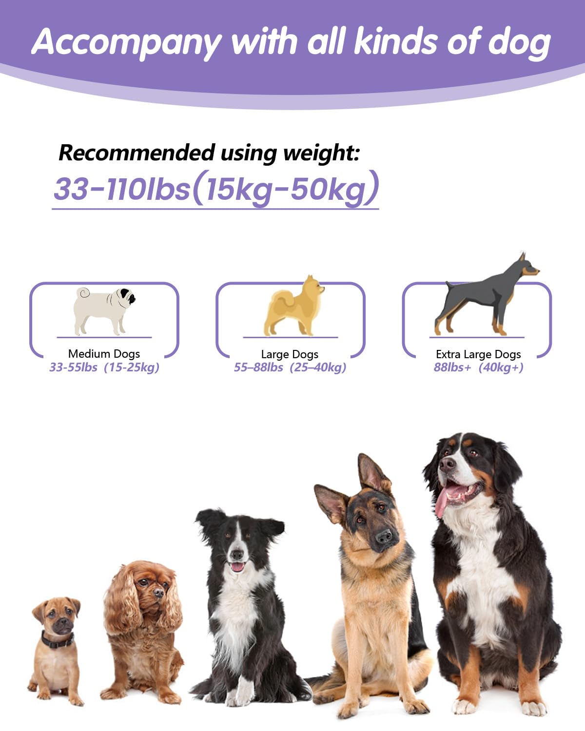 WANFIRE included set for walk-ready versatility.