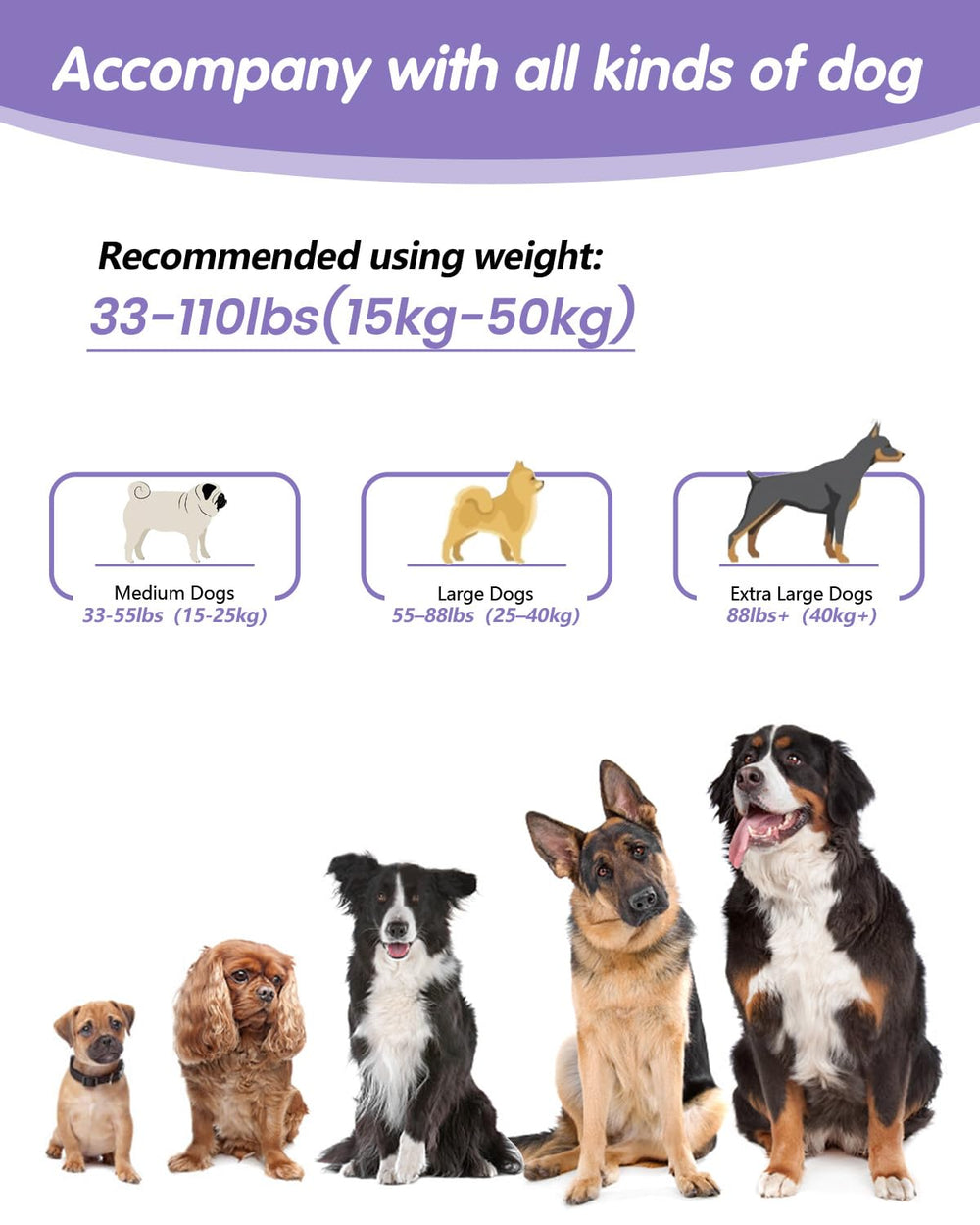WANFIRE included set for walk-ready versatility.