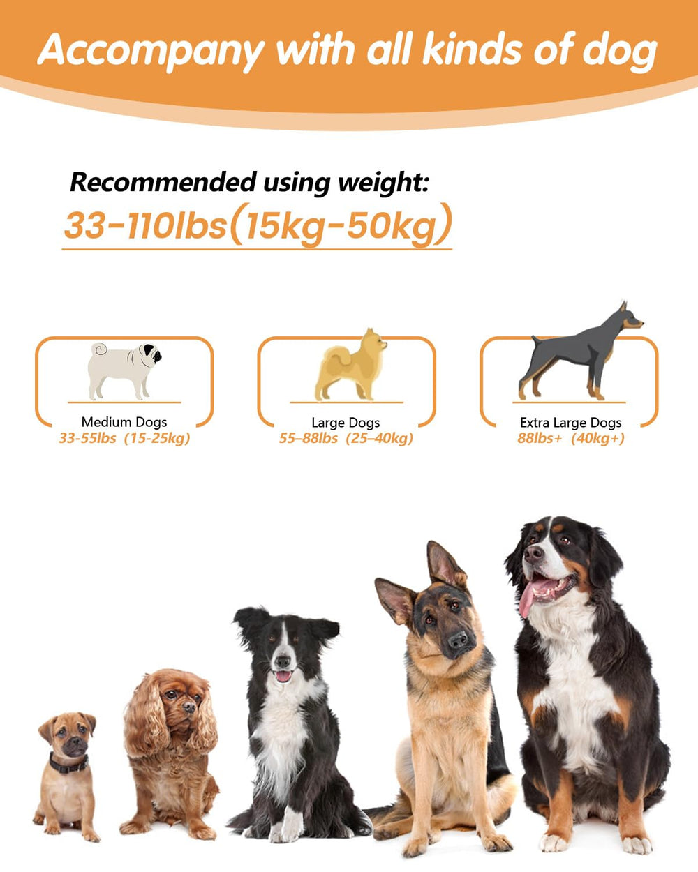 WANFIRE orange leash improves daytime visibility and style.